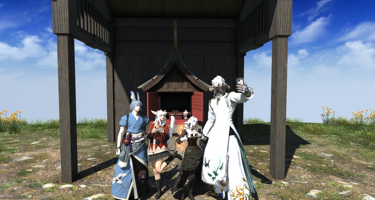 Z'mona Sheffield tweet media