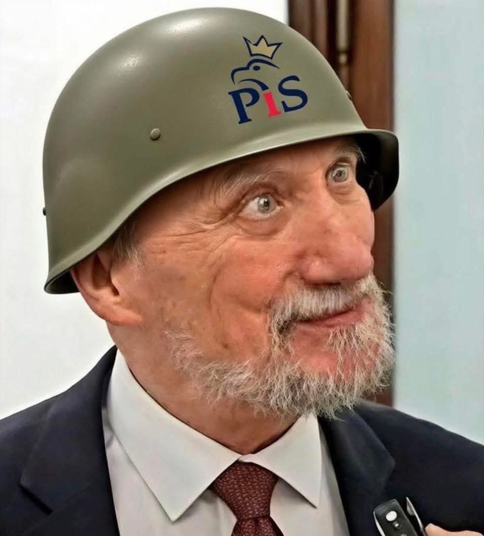 NowoczesnaDemokracja tweet media