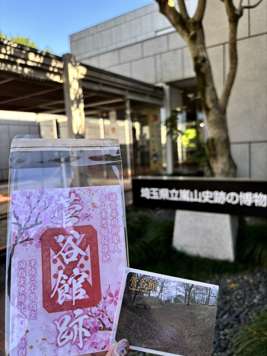 ココロo tweet media