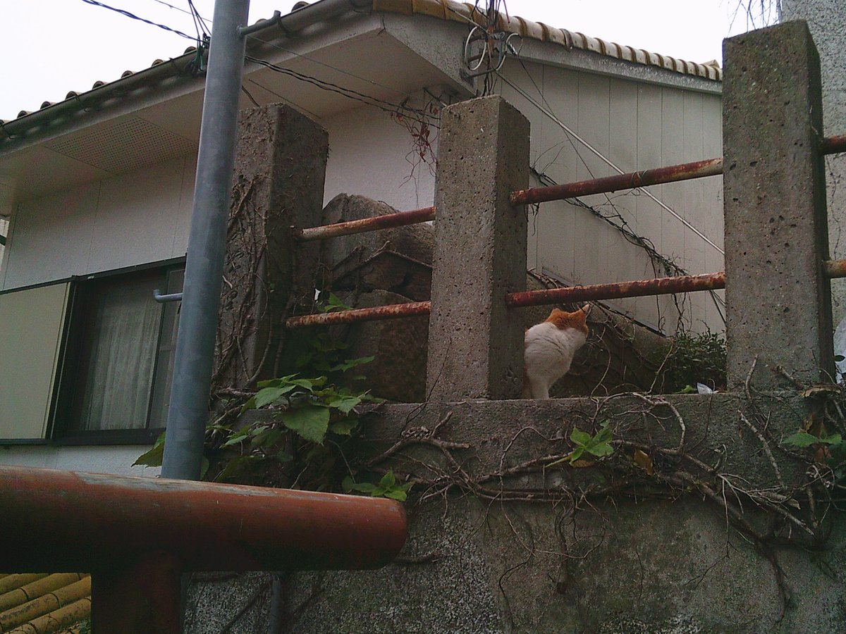 えんぴつ tweet media