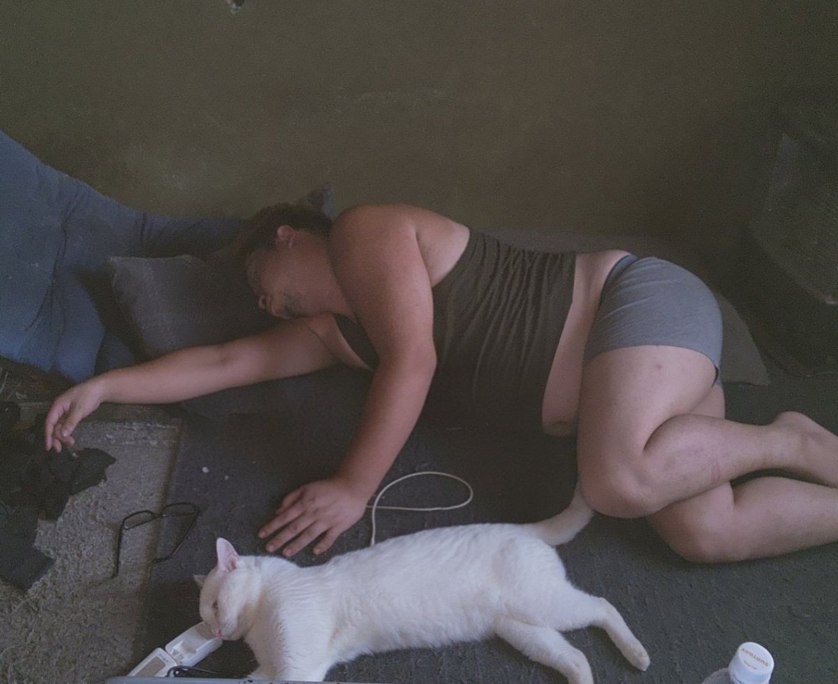 サン太(た) tweet media