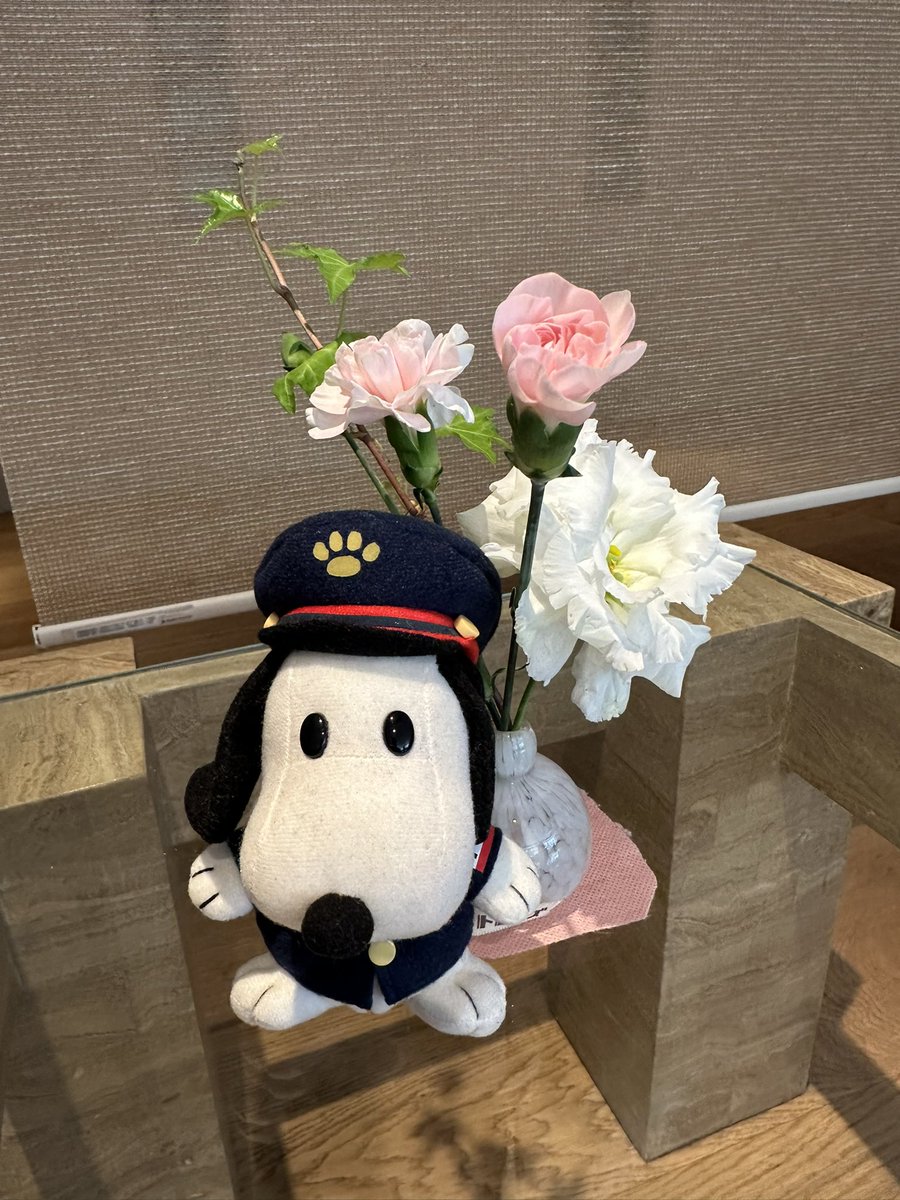 ハナチャン tweet media