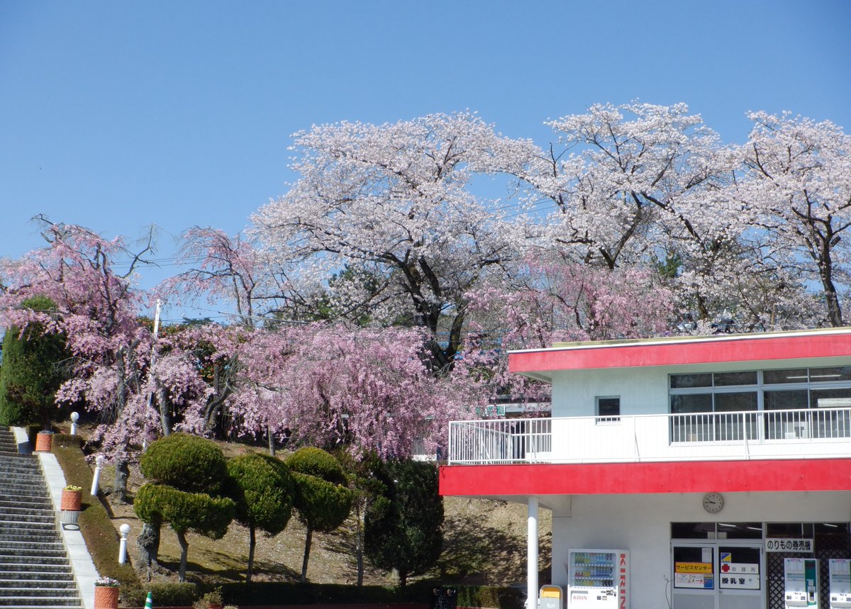 八木山ベニーランド tweet media