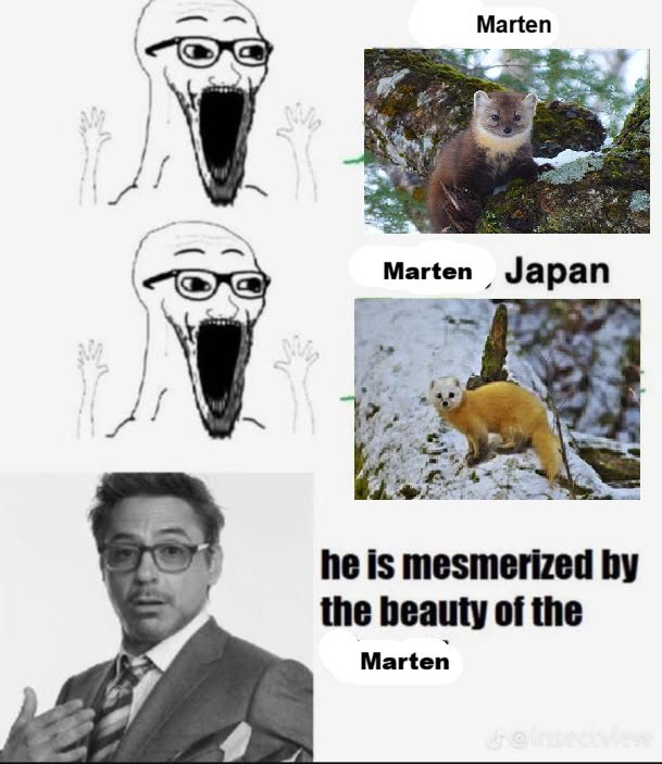 Breezeblocks tweet media