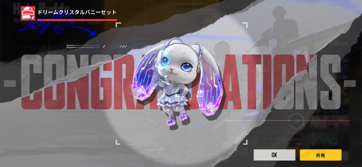 兎連・うさぎ tweet media