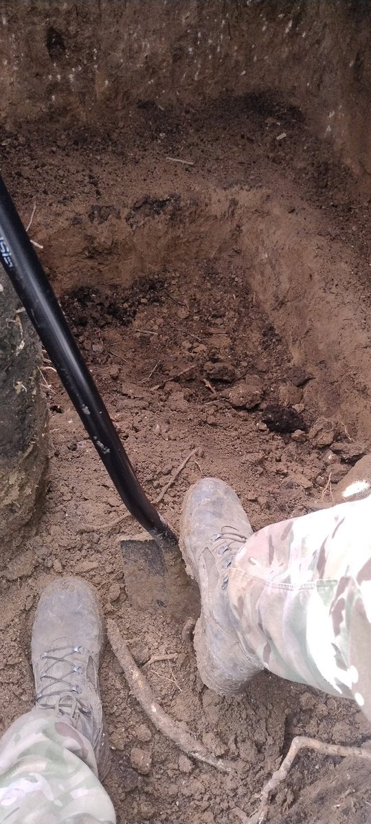 Дикі бжели tweet media