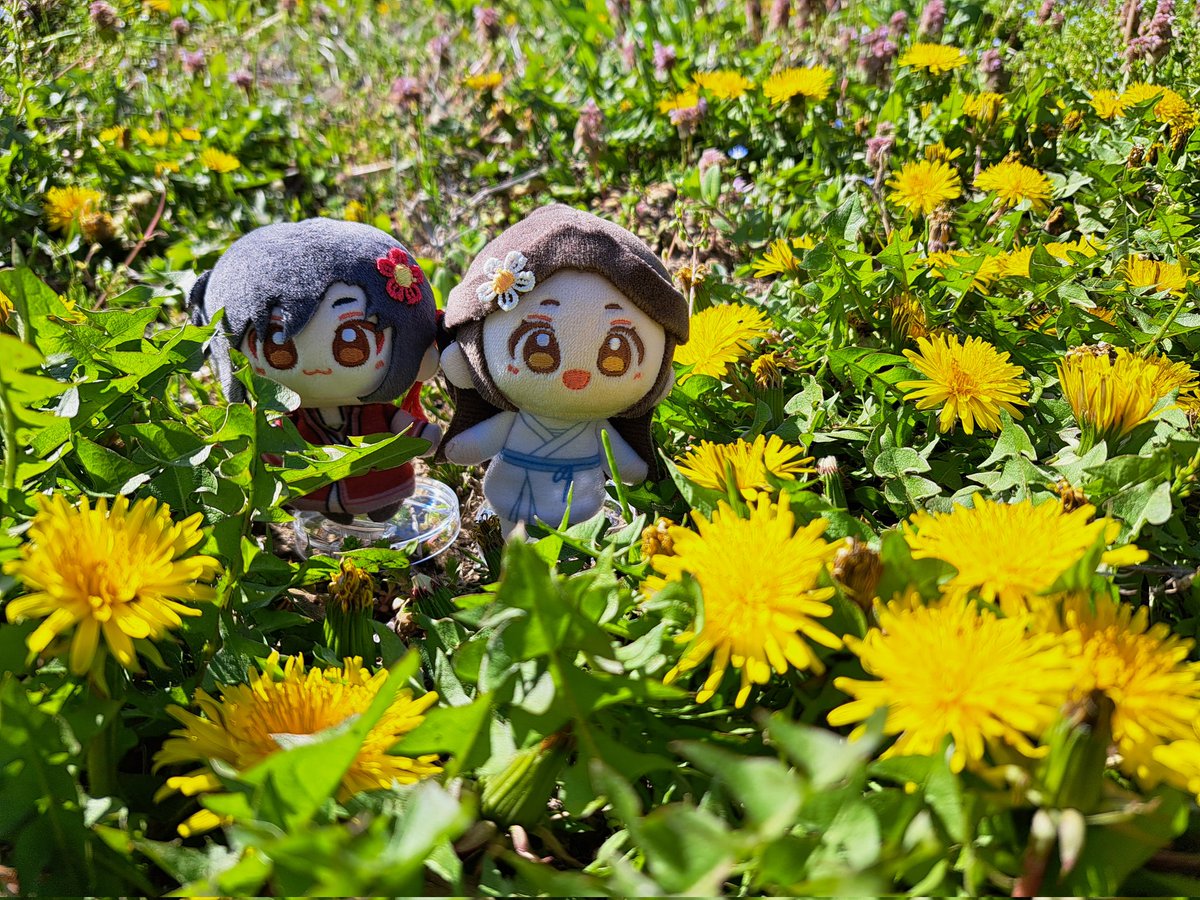 藤の江 tweet media