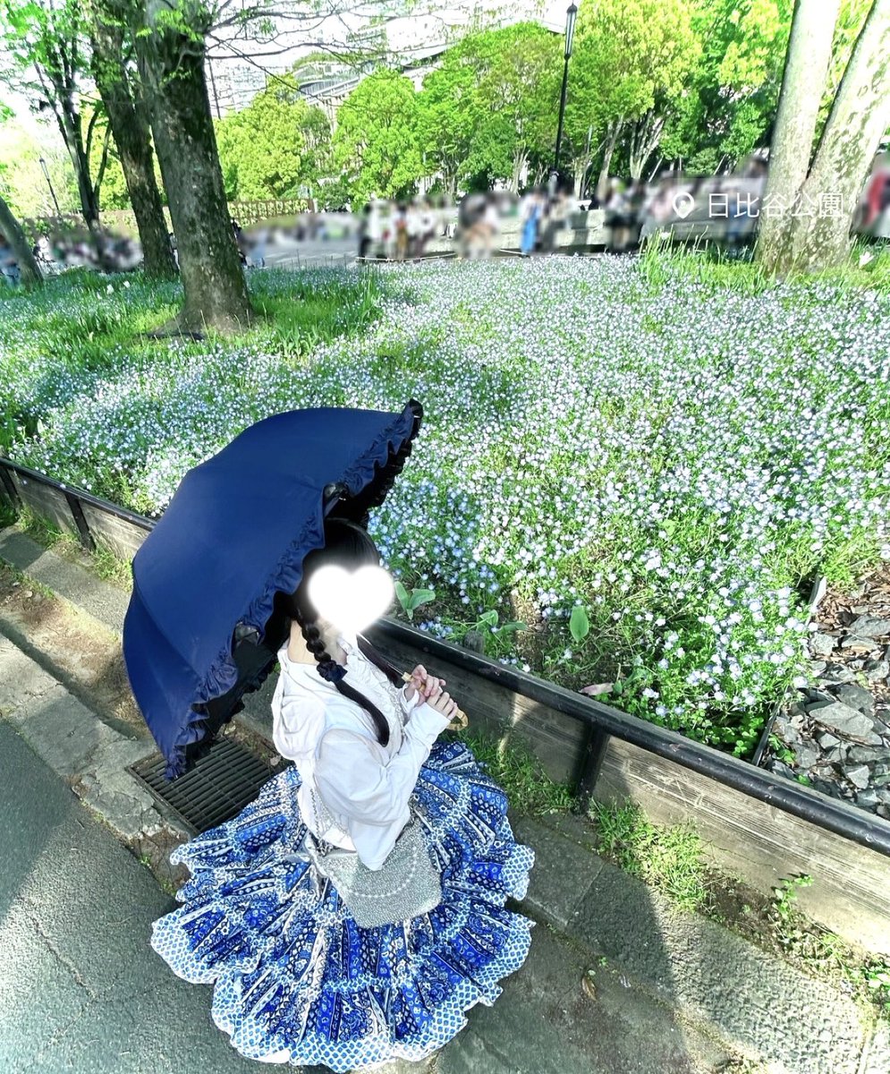 cafelatte_b_'s tweet photo. 初めてのネモフィラ ⟡.· https://t.co/6ulrT4w7UD