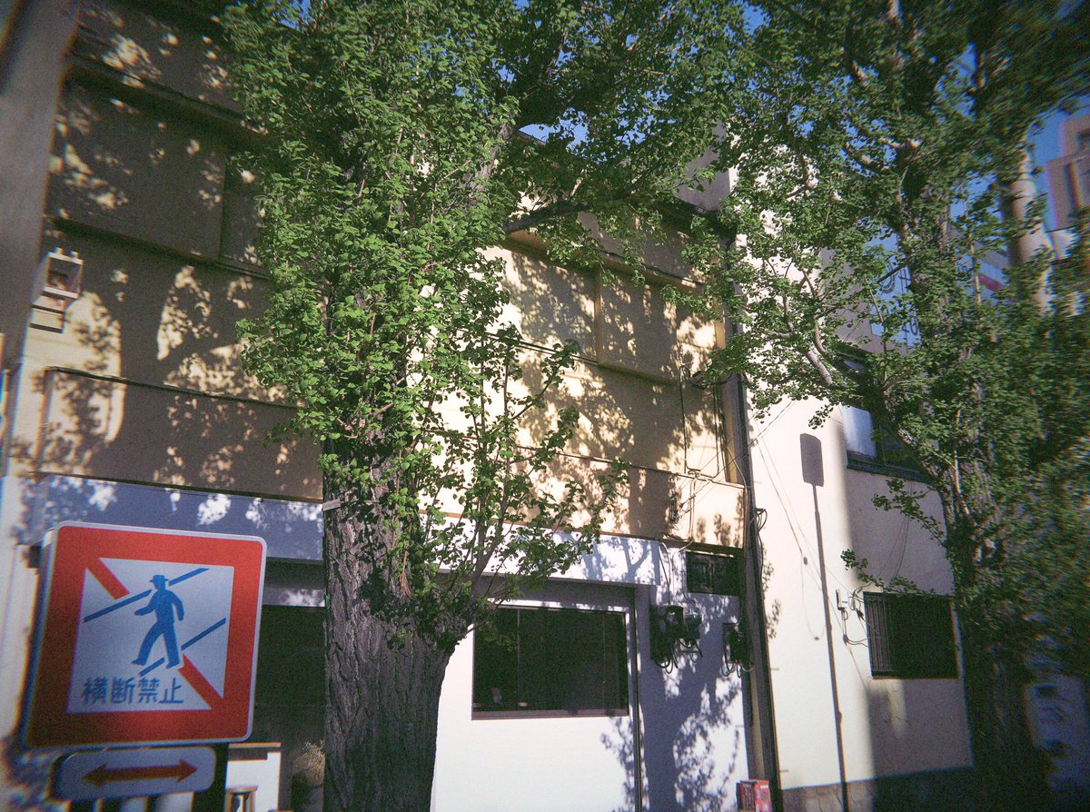 negibou_photo's tweet image. #Flashback
20260412