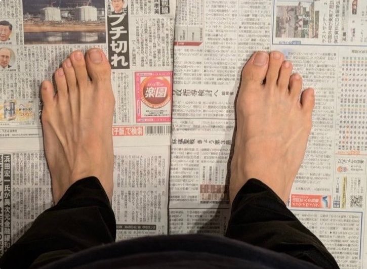 めいとないと tweet media