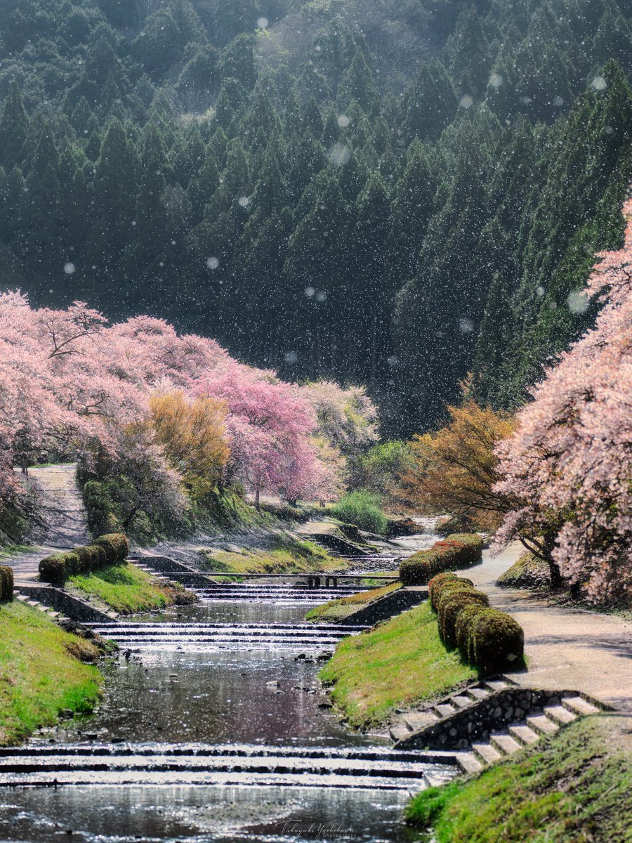 Nature & Human tweet media