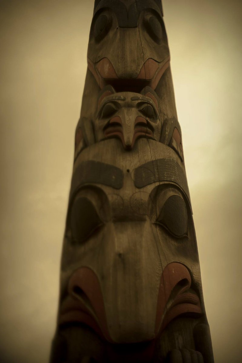 chip simons tweet media