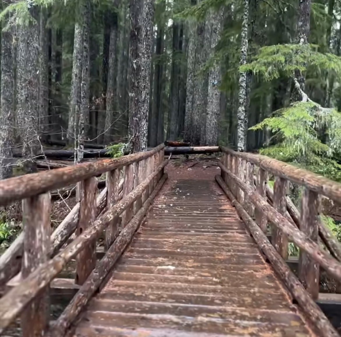 Natalie_W45's tweet photo. Diamond creek- salt creek loop.  So beautiful https://t.co/J00ub6D9p7