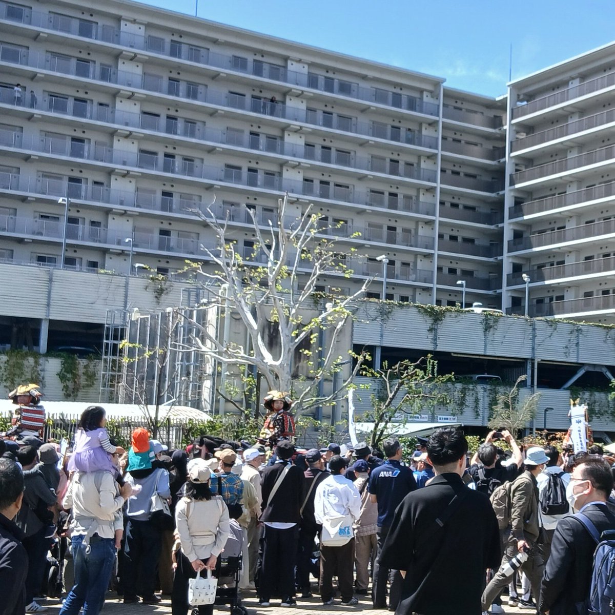 恒例の清和源氏まつり。毎回思うけど、駅までの車道が行列向けに車道制限になり、開放されて気持ちいいんだけど、月一度は歩行者天国になったら最高なんだけど、無理だよね。