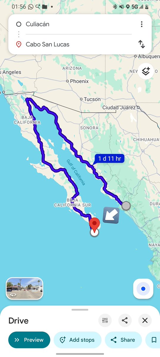 Dr Loco Ma𝕏trianni tweet media