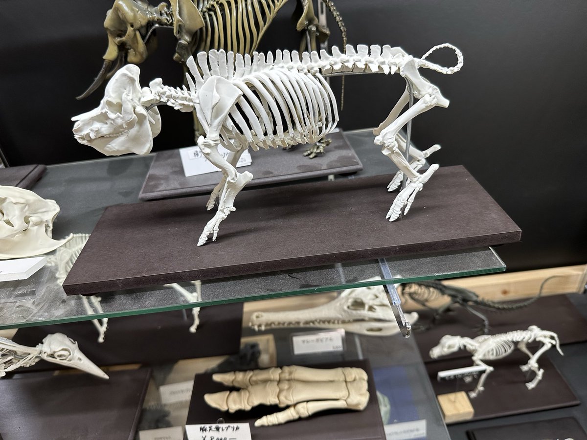 アンフィ合同会社 tweet media