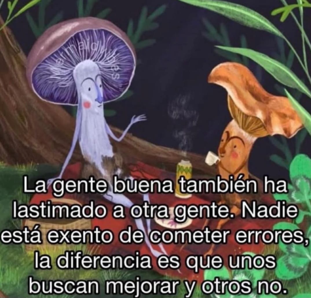 El Estoico | Filosofía tweet media