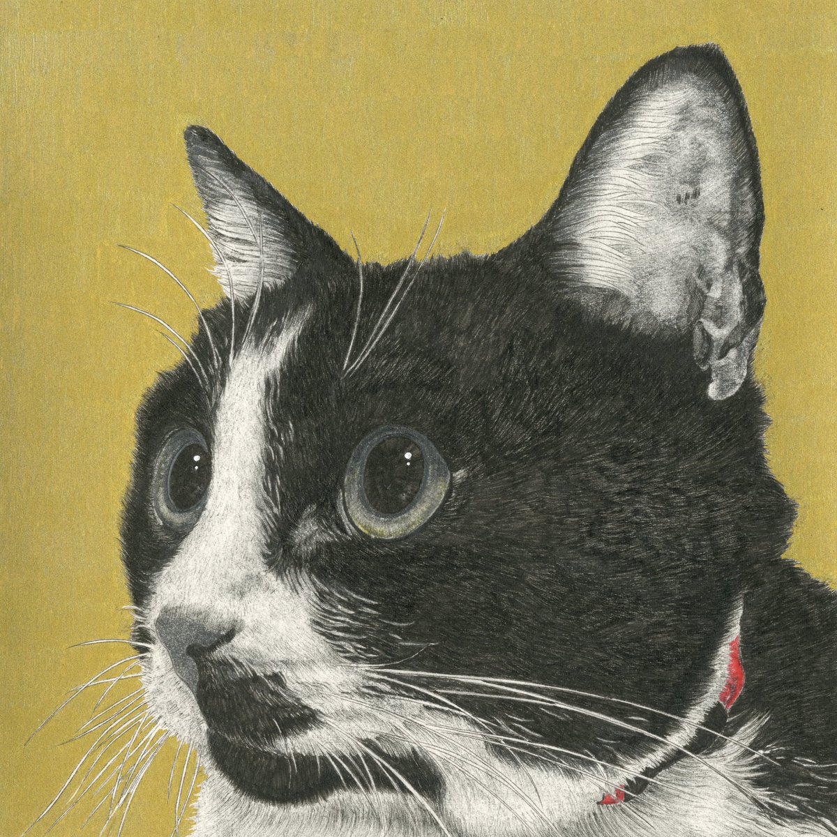 山田貴裕【画家・翻訳家】5/2-3 にゃんこ博覧会【グランフロント大阪】 tweet media