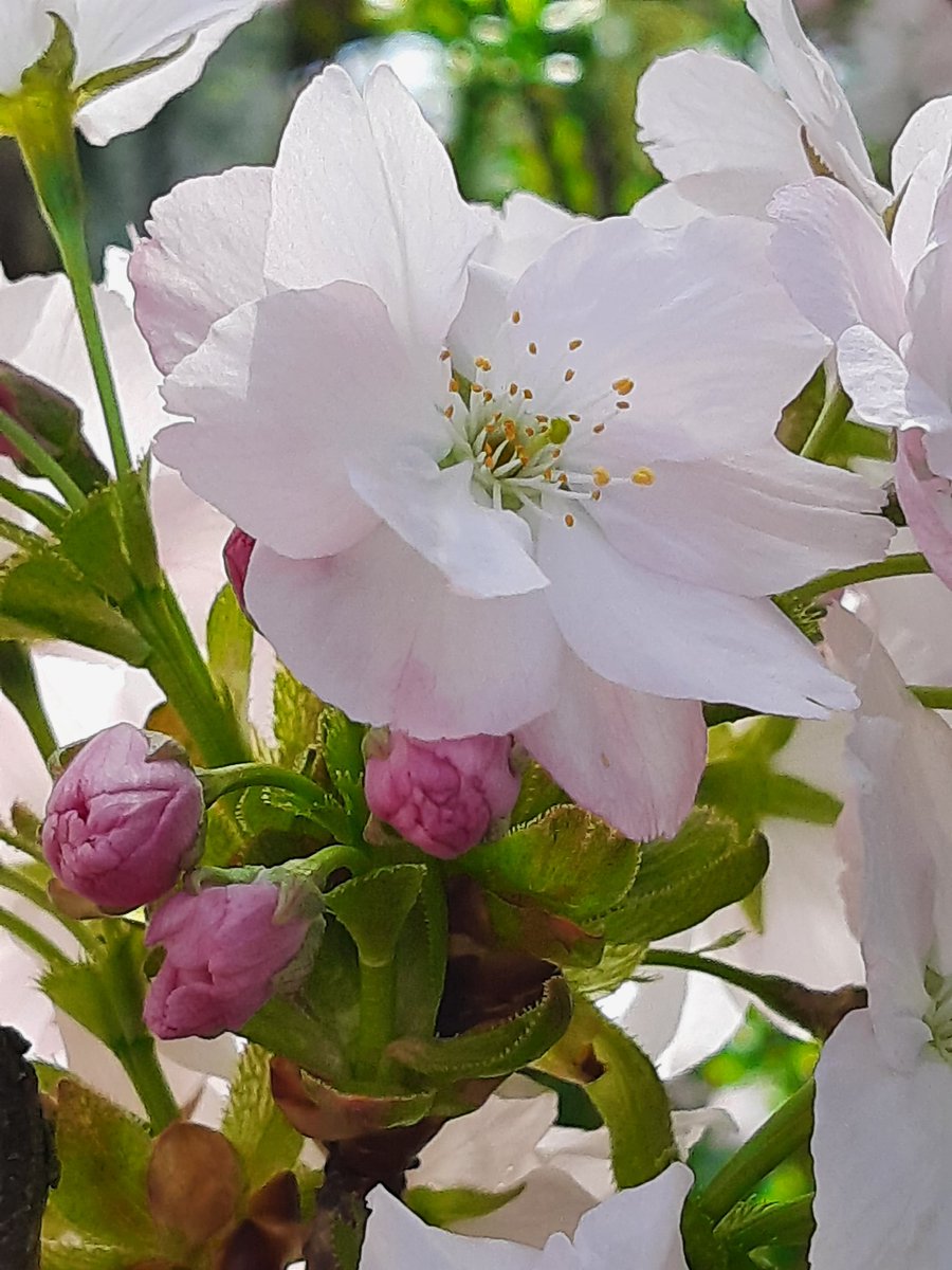 Judith Kissling tweet media