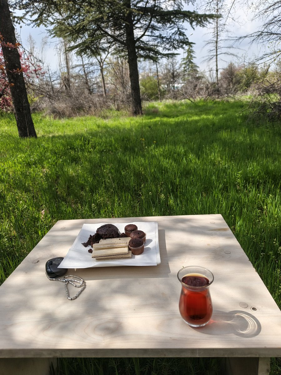 𝐘ı𝐥𝐦𝐚𝐳 🇹🇷 tweet media