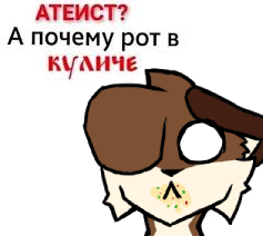 Catrew Foxley tweet media