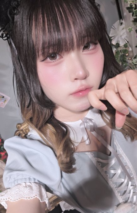 ~メイド喫茶~曖昧Aliceのツイート