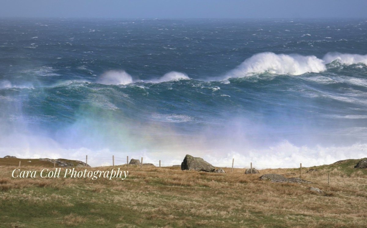 Cara Coll Photography tweet media