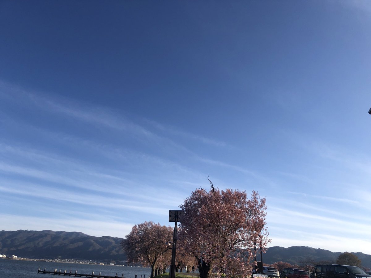 JJ0ETL はちにゃんと行く！すわOL38 tweet media