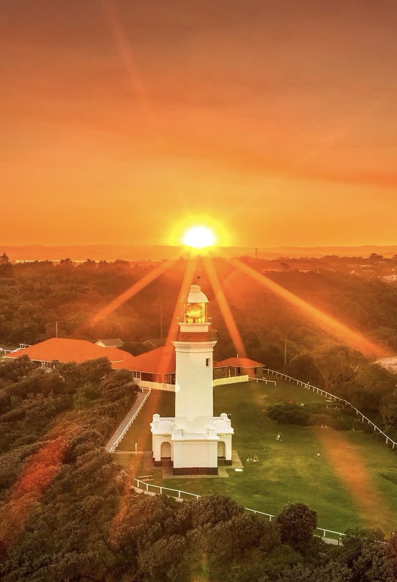 Anthony Sider tweet media