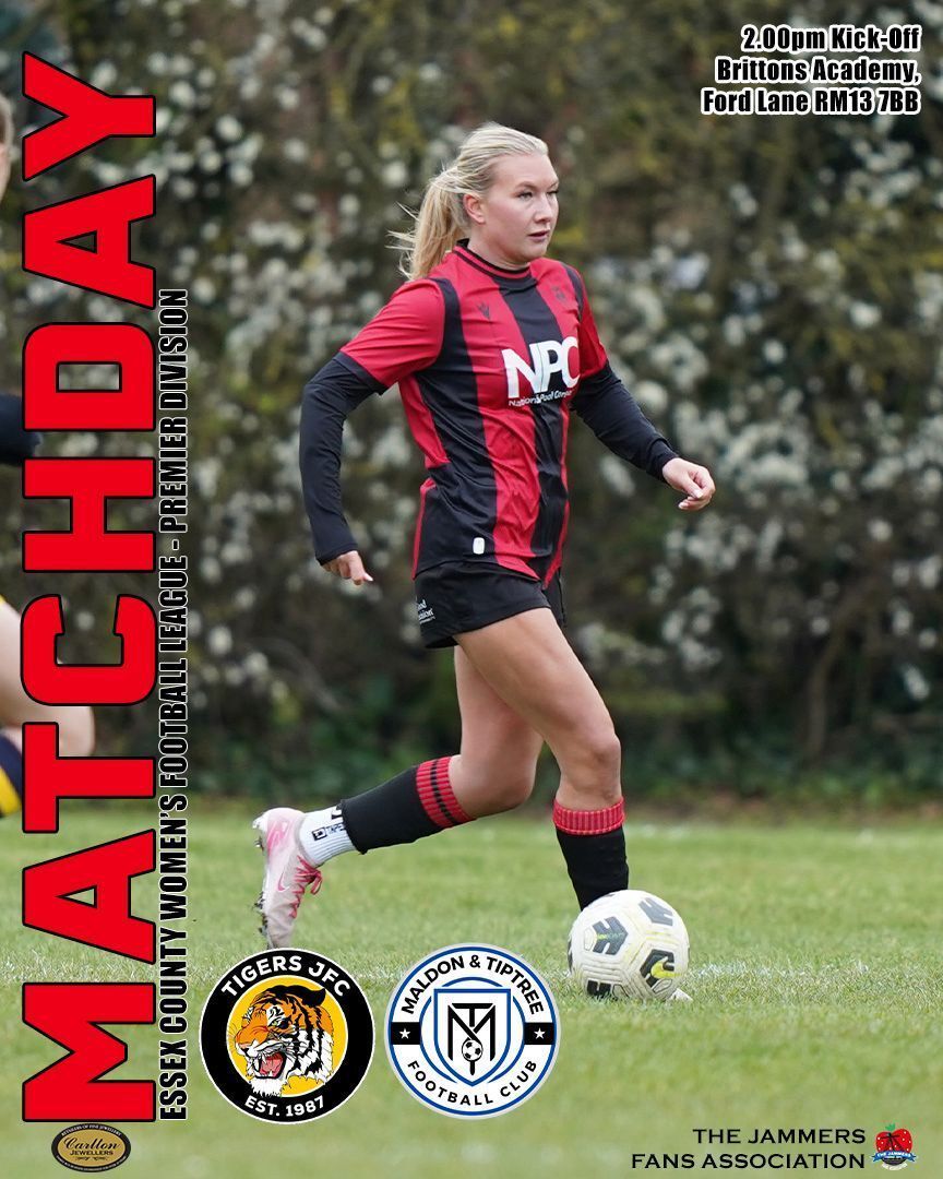 The Jammers Fans Association tweet media