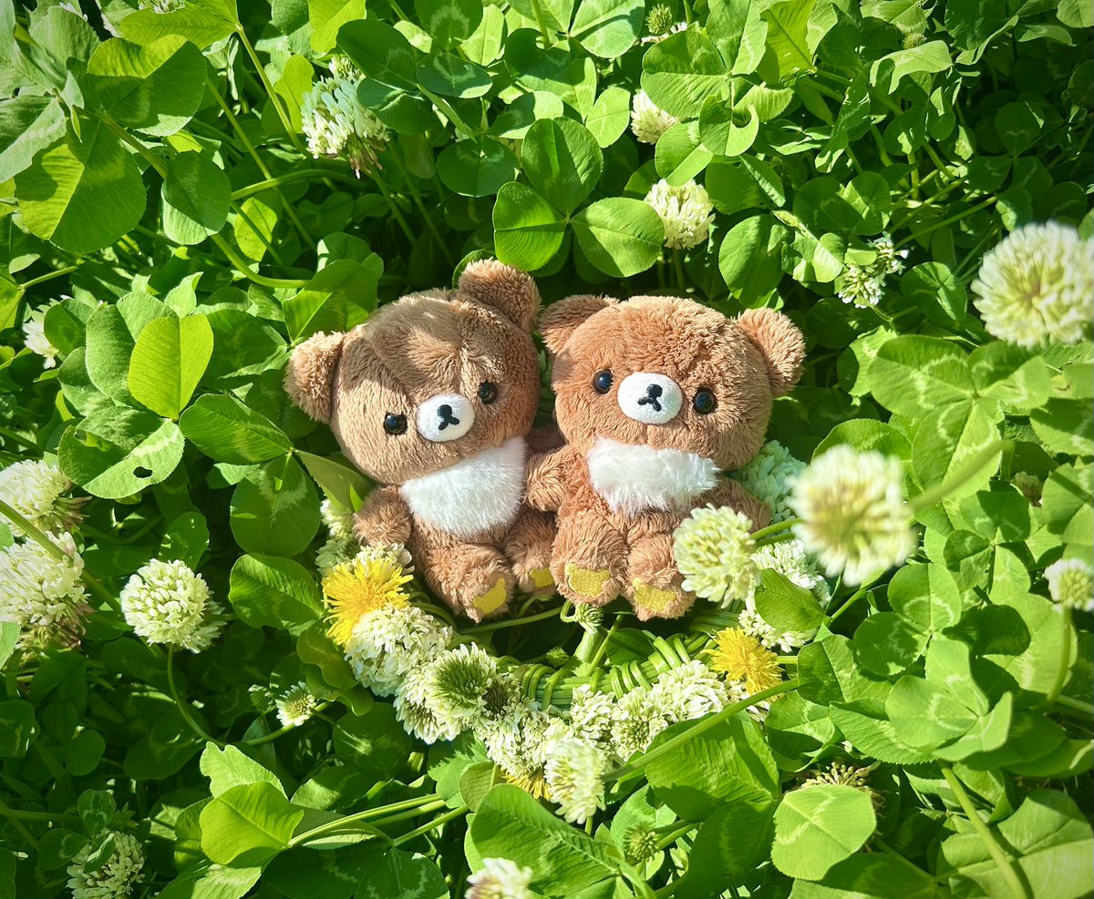 雨@チャコ推し tweet media