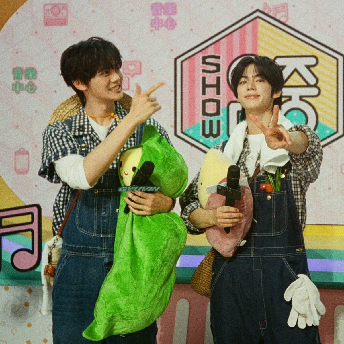 콩해또 아카이브 tweet media