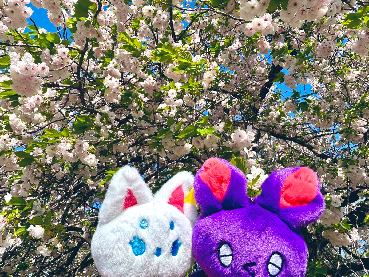 さんかく 5/6東1け40a tweet media