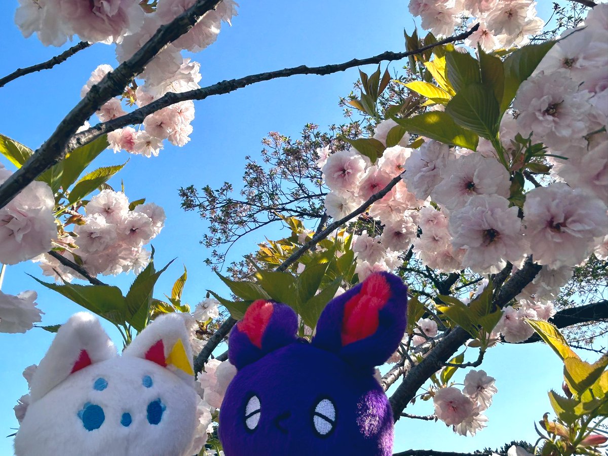 さんかく 5/6東1け40a tweet media