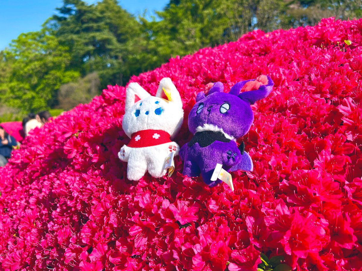 さんかく 5/6東1け40a tweet media