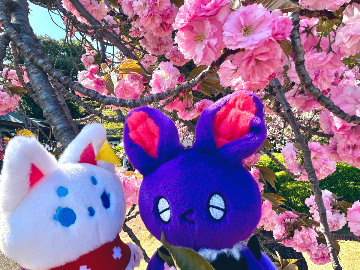 さんかく 5/6東1け40a tweet media