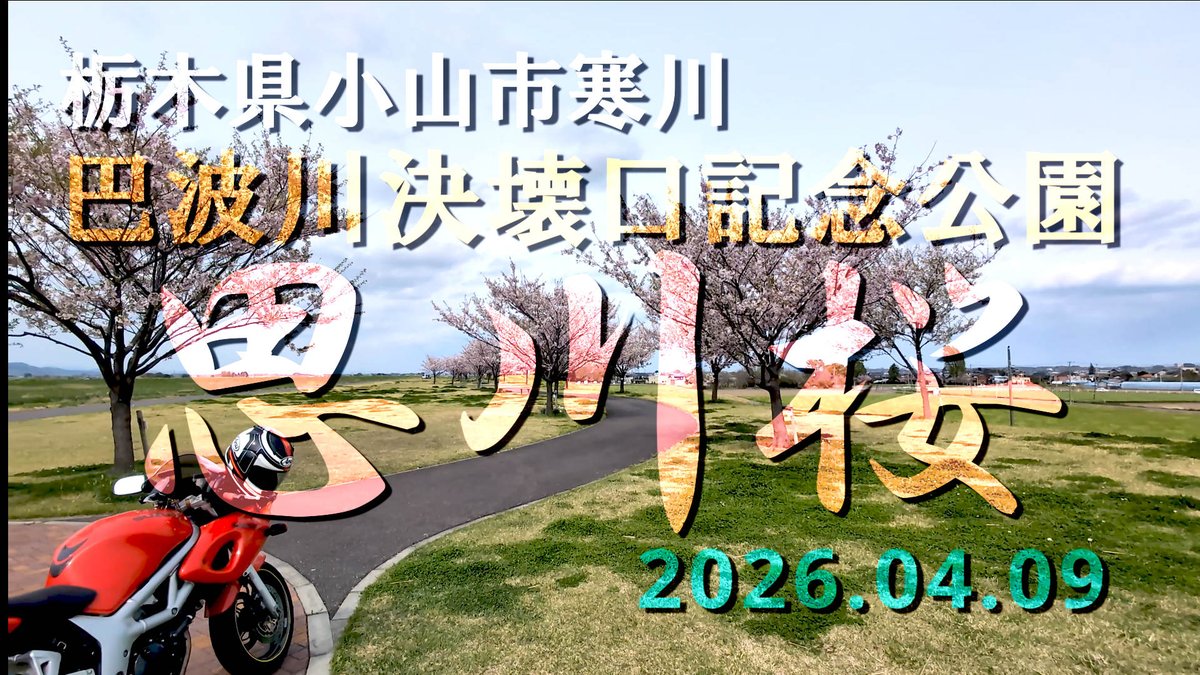 mutenrousi's tweet photo. https://t.co/R1eq4ko5Bd
2026年4月9日、巴波川決壊口記念公園の思川桜が満開であろうとバイクでチョット行って見ました。木曜のお昼過ぎの時間、数人しか人影も無く『撮影日和』って事で、バイクを停めて歩いて撮影してます。
#思川桜 #巴波川決壊口記念公園 #栃木県 #小山市 https://t.co/VTAbuWMR8n
