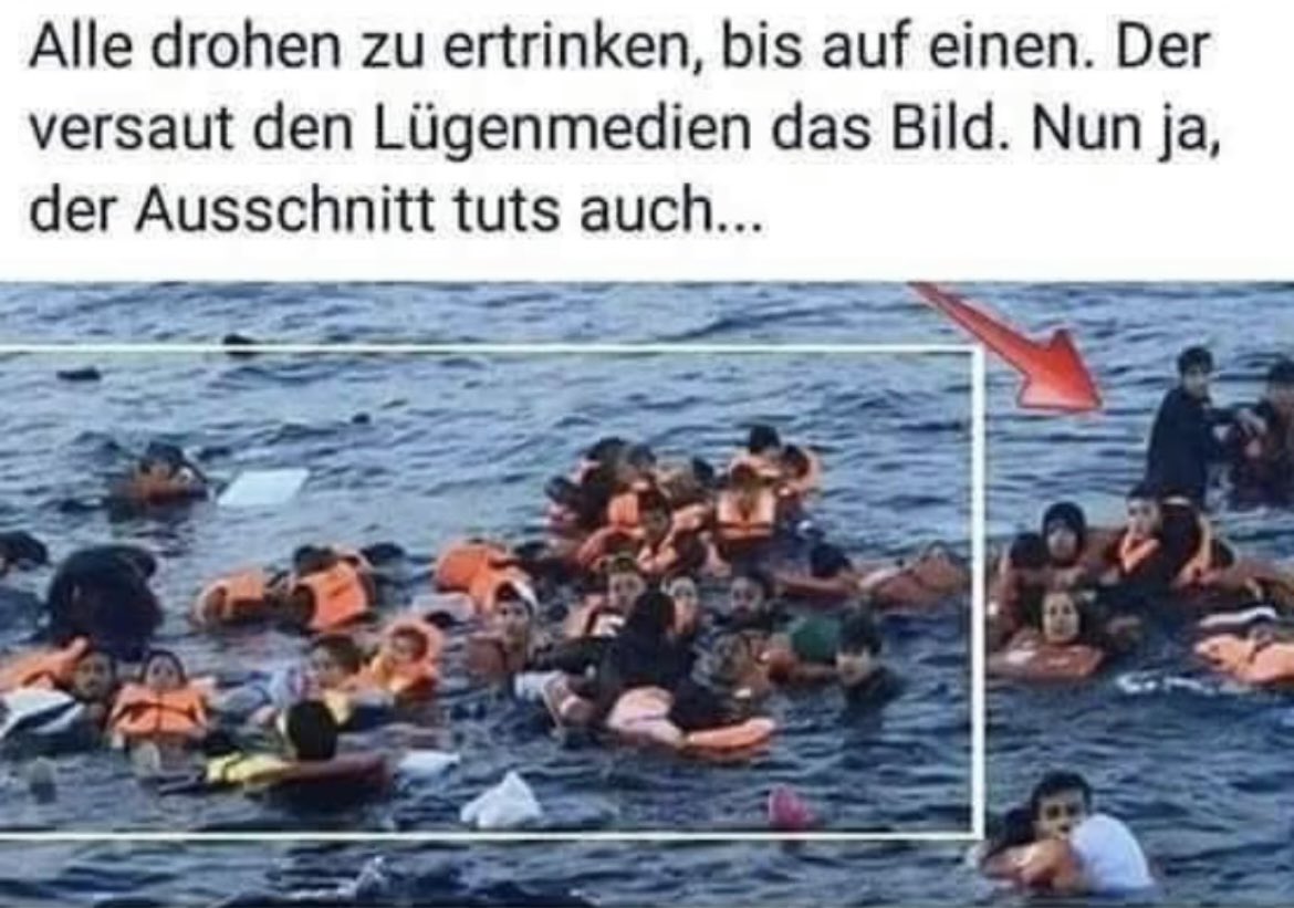 Graukopf tweet media