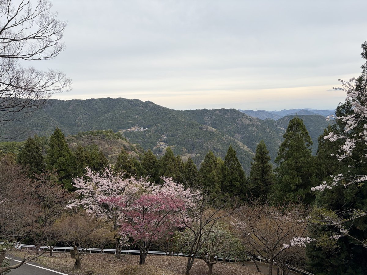mame3122 tweet picture