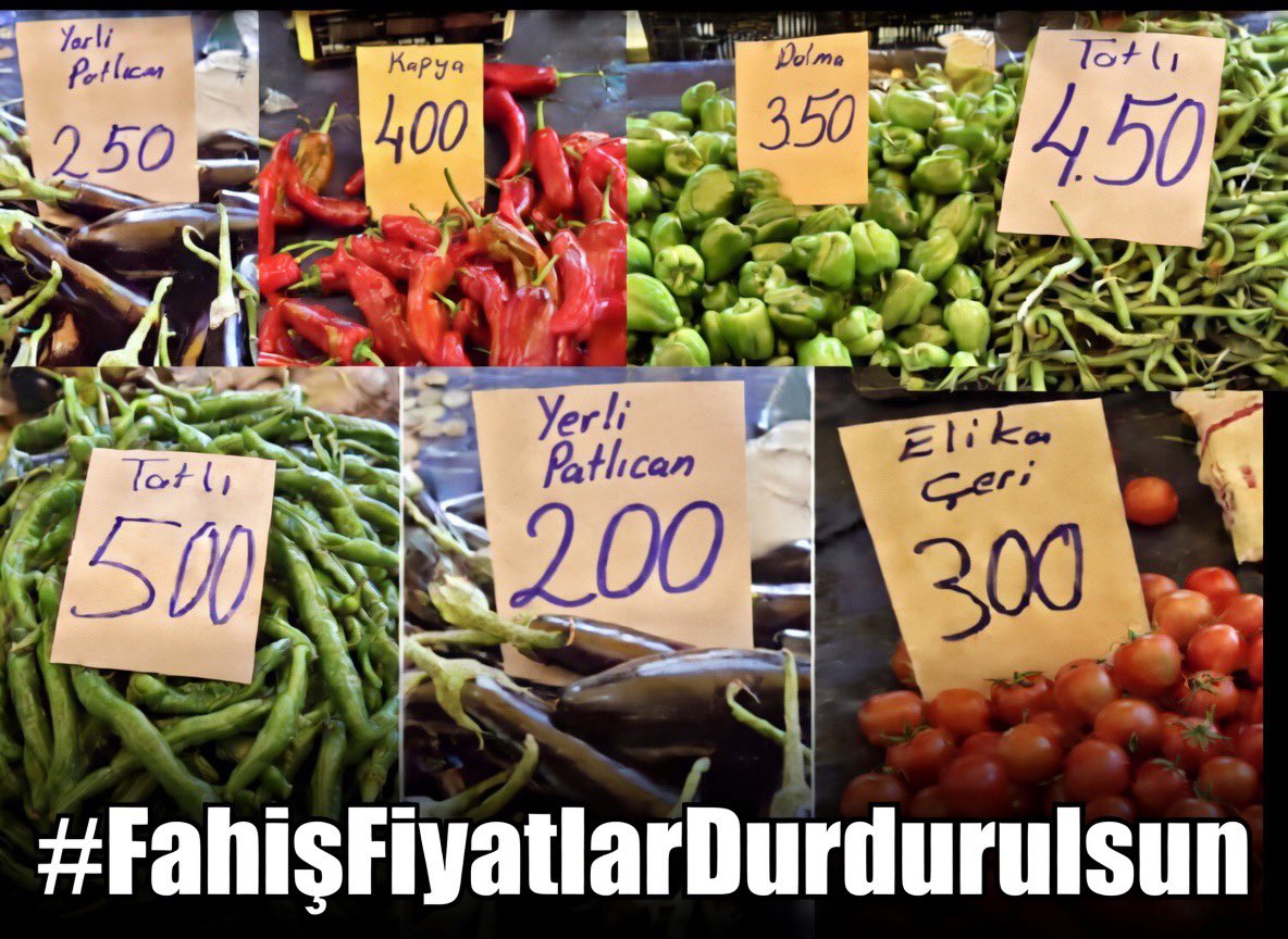 Mustafa POLAT 🇹🇷 tweet media