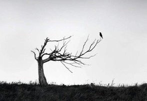 Vuslât-ı Aşk tweet media