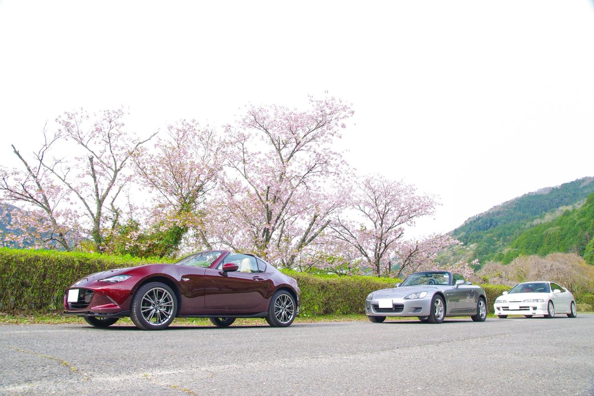 てしこうべ tweet media