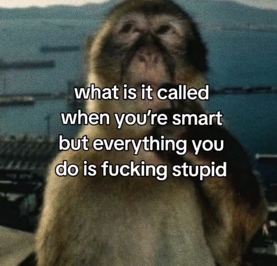 Rockwell ☆ tweet media