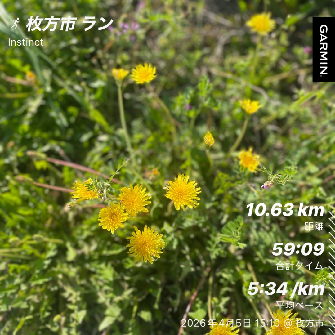 くらわんかモンチッチ tweet media