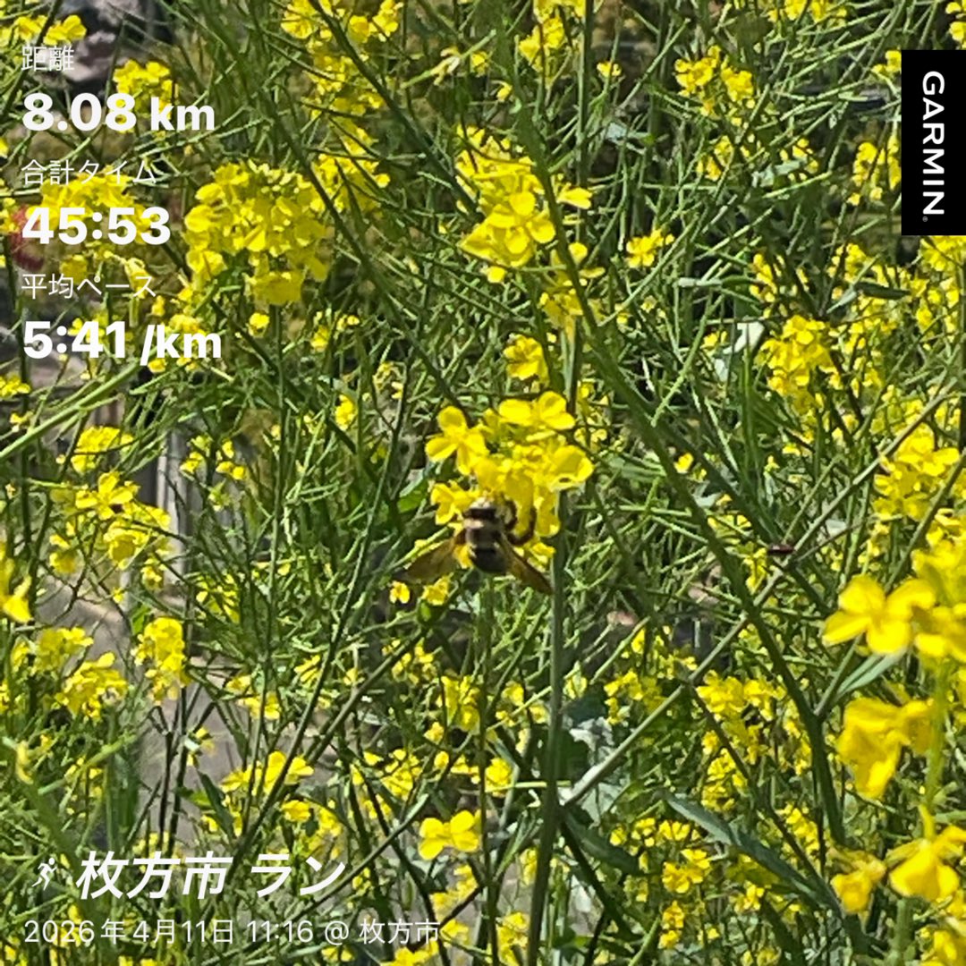 くらわんかモンチッチ tweet media