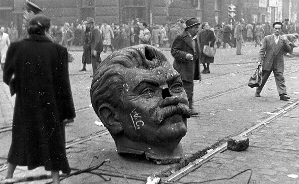 Xavier Colás tweet media