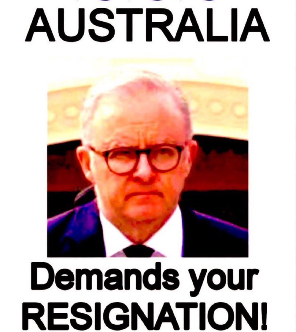 Red Fox (Fifi) tweet media