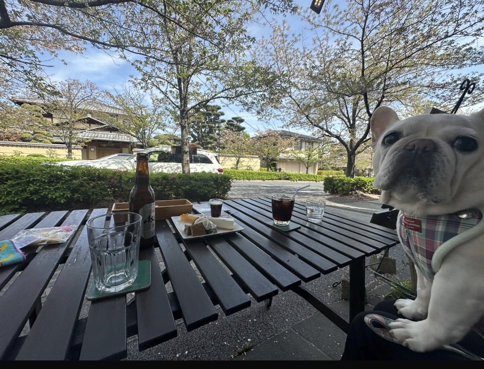 🍏Sido 🌾 tweet media