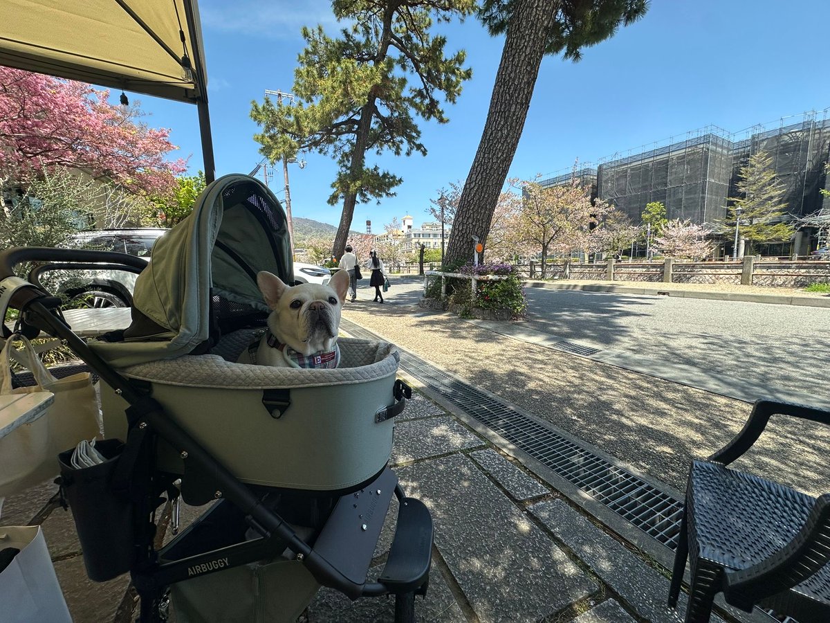 🍏Sido 🌾 tweet media