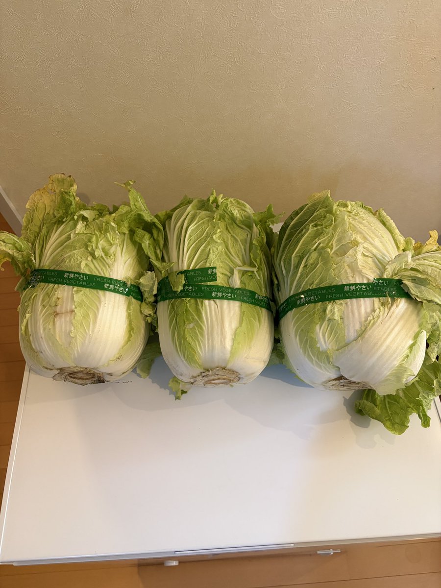 Edge3 ナイケン乗り/おひさま/モデラー tweet media